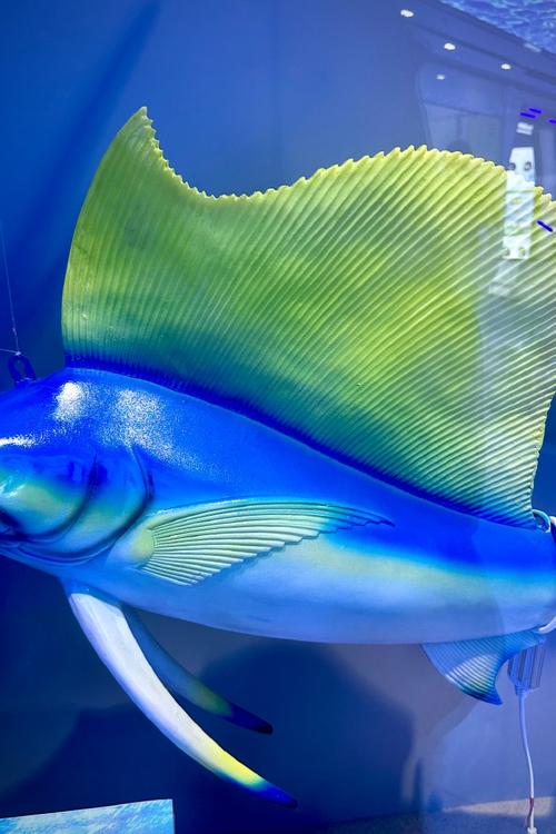 探寻生物科技前沿 企业行第二站走进海南华研胶原科技
